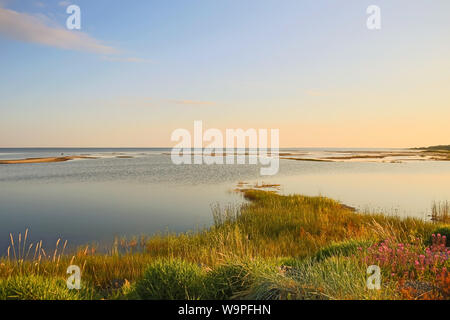 Insel Hailuoto (Huikku Strand) Sommer Abend bei Sonnenuntergang, Insel Hailuoto,Österbotten, Finnland Stockfoto