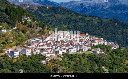 Weißes andalusisches Dorf, Pueblo blanco Algatocin. Provinz Malaga, Costa del Sol, Spanien Stockfoto