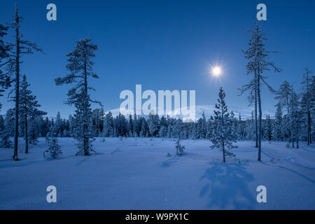 Pallas Berge bei Mondschein mit langen Schatten der Fichten und frischen Schnee in Tunturi Pallas-Ylläs Nationalpark in Muonio, Finnland Stockfoto
