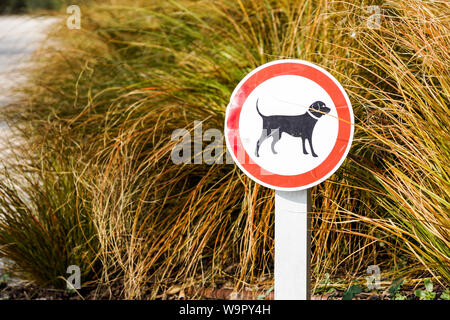 Hunde nicht erlaubt Zeichen auf einem Track in einem Park . Stockfoto