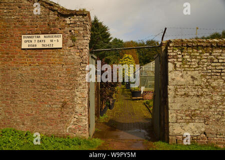Das Eingangstor zum alten ummauerten Garten von Dunnottar Haus, jetzt die Position einer Gärtnerei, Aberdeenshire, Schottland, Großbritannien. Stockfoto