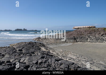 Großer Treibholzstamm hoch oben auf Felsen an der Küste von Vancouver Island, British Columbia, Kanada Stockfoto