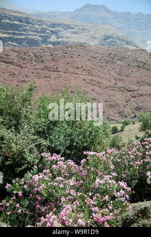 Sidi Tarife Tal in Atlas, Marokko Stockfoto