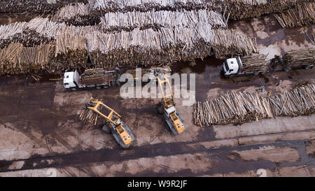 Holzbearbeitung enterprise Draufsicht Luftaufnahmen mit Drone Stockfoto