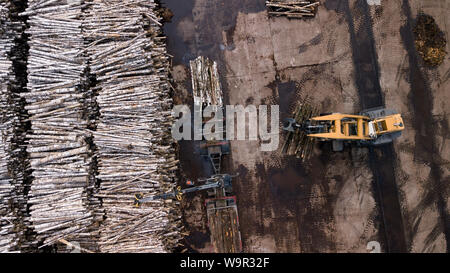 Holzbearbeitung enterprise Draufsicht Luftaufnahmen mit Drone Stockfoto