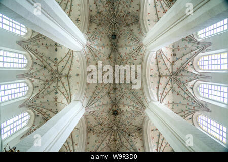 Sterngewölbe der Kathedrale von Torun, Dom St. Johannes der Täufer und Johannes der Evangelist., Torun, Polen, Europa | gotische Kreuzrippengewölbe Decke, Stockfoto