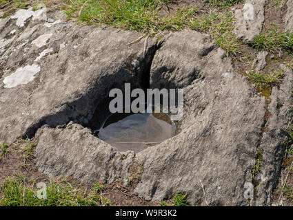 Schale und ring Dunadd Fort, Kilmartin Glen, Argyll, Schottland. Stockfoto