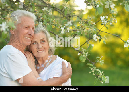 Porträt der Schönen senior Paar huging und im Park posing Stockfoto