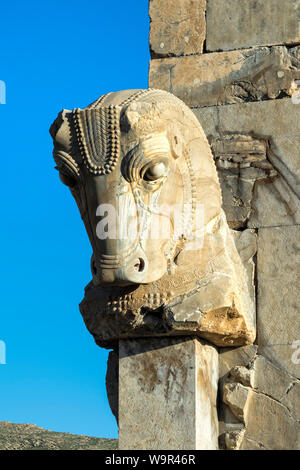 Persepolis, Pferd, Skulptur auf einer Hauptstadt, Provinz Fars, Islamische Republik Iran Stockfoto