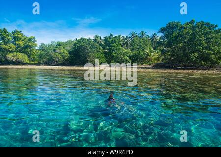 Man Schnorcheln im klaren Wasser, Buka, Papua-Neuguinea Stockfoto