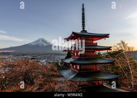 5-stöckige Pagode, Fujiyoshida Chureito Pagode, mit Blick auf die Stadt und den Berg Fuji Vulkan, Yamanashi Präfektur, Japan Stockfoto