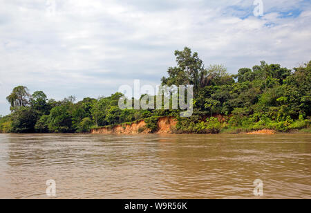 Anzeigen von Napo Fluss im ecuadorianischen Regenwald Stockfoto