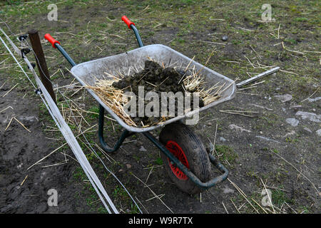 Schubkarre mit Pferdemist Stockfoto