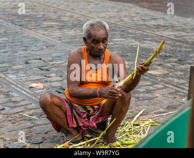 Kolkata, West Bengal/Indien - August 13,2019. Ein unbekannter alter Mann blätterte Zuckerrohr Sticks am Straßenrand für Saft. Stockfoto