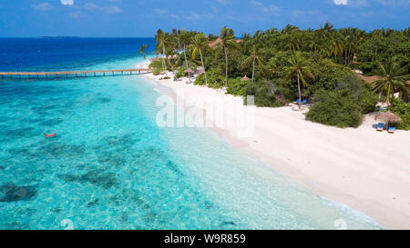 Malediven Insel von Filaidhoo, Lagune, Palme, Kokospalme, Raa Atoll, Malediven, Asien, Filaidhoo, (Cocos nucifera) Stockfoto