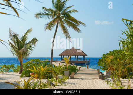 Malediven Insel, jetty, Palmen, Filaidhoo, Raa Atoll, Asien, Indischer Ozean, Filaidhoo Stockfoto