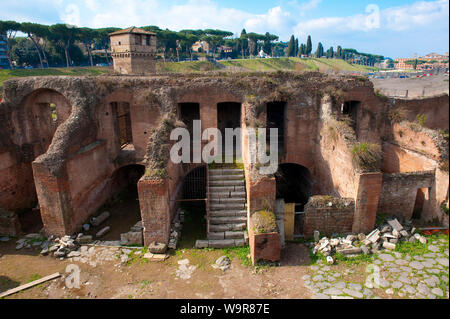 Ausgrabungen im antiken Terrasse, Ruine, stand der Circus Maximus, Rom, Italien, Europa Stockfoto