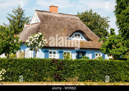 Reetdachhaus, Wieck am Darss, Mecklenburg Vorpommern, Deutschland Stockfoto