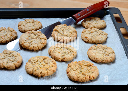 Oatmeal Cookies auf Backblech Stockfoto