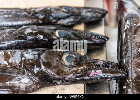 Fischmarkt, Funchal, Madeira, Portugal Stockfoto