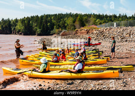 Hopewell Felsen, Felsen Provincial Park, Kajak, Kayak Tour, Bucht von Fundy, New Brunswick, Kanada Stockfoto