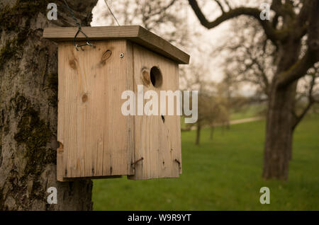 Nistkasten im Obstgarten, Schwaebisch Hall, Hohenlohe, Kochertal, baden-württemberg, Heilbronn - Franken, Deutschland Stockfoto