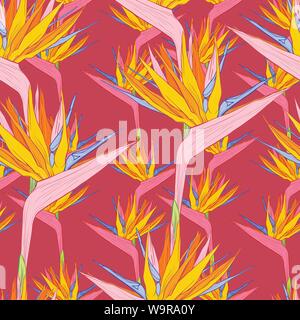 Strelitzia reginae oder Bird of paradise Blumen. Vektor farbige nahtlose Muster für Stoff Textil Design. Stock Vektor