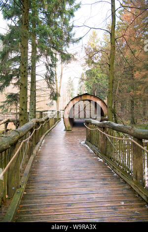 Barrierefrei natur Discovery Trail, Nationalpark Eifel, Nordrhein-Westfalen, Deutschland, Europa Stockfoto
