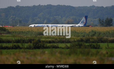 (190815) - Moskau, August 15, 2019 (Xinhua) - Foto am 15 August, 2019 zeigt den Airbus A321, der eine harte Landung in der Nähe von internationalen Flughafen Schukowski südöstlich von Moskau, Russland. Ein Airbus Flugzeug mit über 200 Passagieren an Bord eine Notlandung am Donnerstag in der Nähe von Moskau kurz nach dem Abheben und verletzte 23 Menschen, darunter fünf Kinder, sagten die Behörden. Der Ural Airlines Flug A321 eine harte Landung in der Nähe von internationalen Flughafen Schukowski südöstlich von Moskau durchgeführt, nachdem die Motoren durch Vögel getroffen wurden, die Sputnik Nachrichtenagentur Russlands Federal Air Transport AG Stockfoto