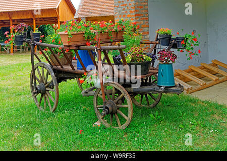 Örség, Wächterregion, Heimatmuseum, Nagyrákosi Tájház, Kovácsműhely, Leiterwagen, Blumen, Geranien, rot Stockfoto