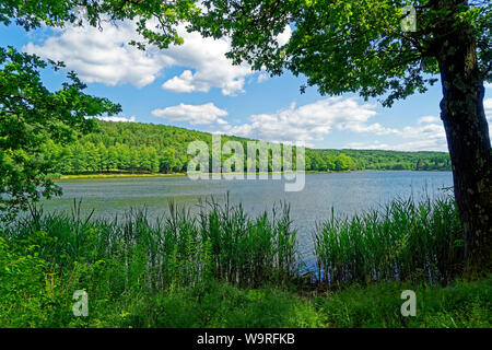 Stausee, Hirschsee, Hársas tó Stockfoto