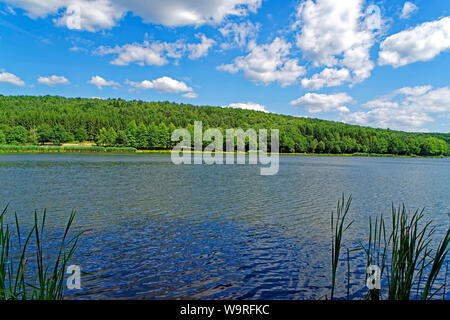 Stausee, Hirschsee, Hársas tó Stockfoto