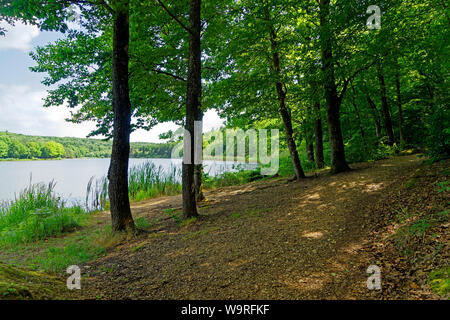 Stausee, Hirschsee, Hársas tó Stockfoto