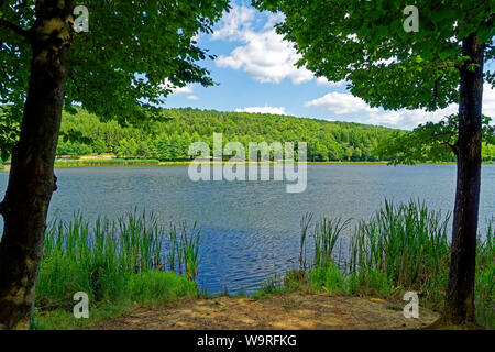 Stausee, Hirschsee, Hársas tó Stockfoto