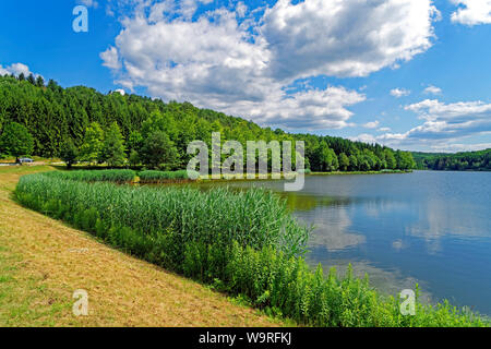 Stausee, Hirschsee, Hársas tó Stockfoto