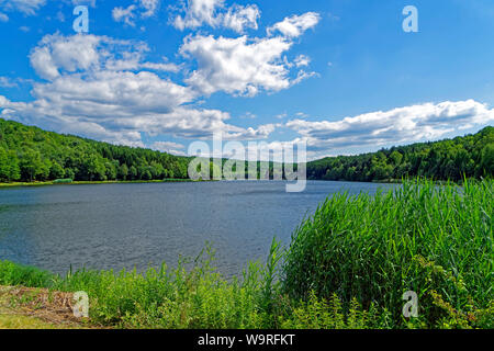 Stausee, Hirschsee, Hársas tó Stockfoto