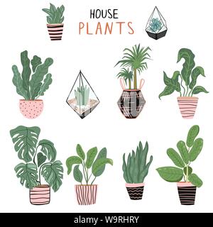 Reihe von verschiedenen Zimmerpflanzen Stock Vektor