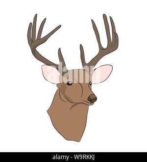 Rehe Portrait, Vector, weißer Hintergrund Stock Vektor