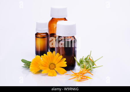 Dunkle kosmetische Flasche aromatisches Öl für pflanzliche Arzneimittel mit Calendula flower auf weißen Hintergrund isoliert. Ringelblumen Extrakt. Stockfoto