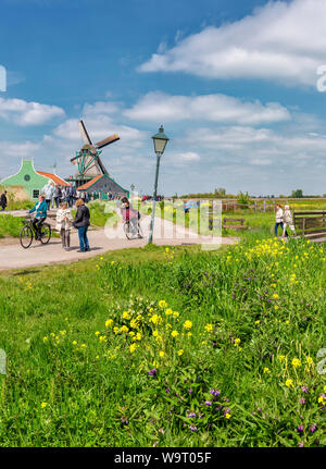 Viele Touristen zu den Windmühlen des Freilichtmuseum Zaanse Schans, 30063908 *** Local Caption *** Stockfoto