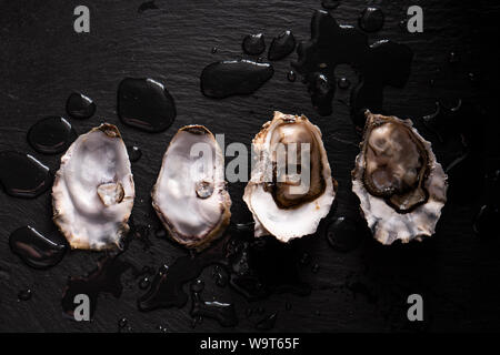 Geöffnet frische Austern auf einem dunklen Hintergrund und Wassertropfen. Rostik Stil. Stockfoto