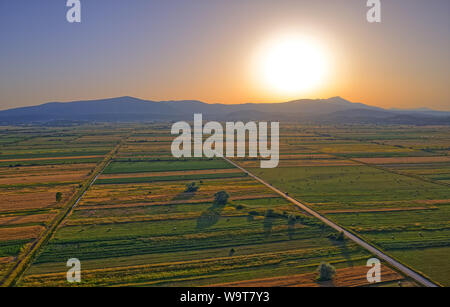 Luftaufnahme der Felder in der Nähe von Sinj mit Strohballen in der Landschaft, Kroatien Stockfoto