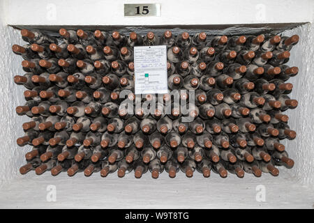 Museum- und Lagerbereich: Cabernet-sauvignon Issilkul Weingut Chisinau Moldawien Stockfoto