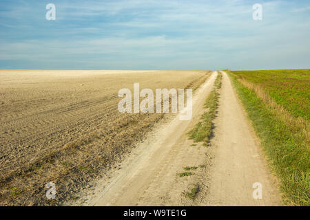 Unbefestigte Straße durch eine Gepflügt und grünes Feld, Horizont und weißen Wolken am blauen Himmel. Staw, Polen Stockfoto