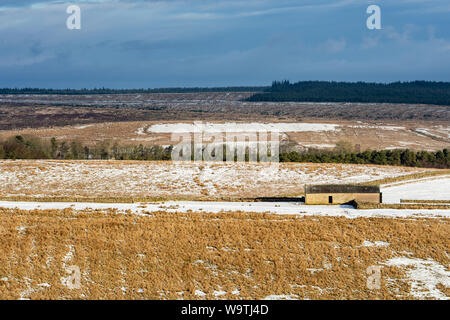 Eine traditionelle Scheune steht unter Felder von Schnee und raues Grasland in der entfernten Hügel von Northumberland. Stockfoto