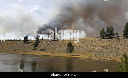 Feuer und Rauch im Yellowstone National Park. Stockfoto