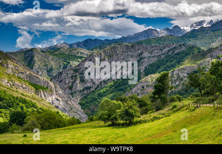 Calmayor Crag, Desfiladero de Los Beyos hinter, El Cornion massiv, von der Straße in der Nähe von Dorf Viego, Picos de Europa, Ponga Naturpark, Asturien, Spanien Stockfoto