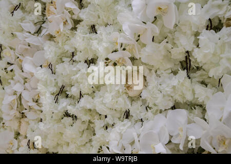 Wand mit unterschiedlichen Blumen. Bunt blühende ökologische Landschaft Natur. Hintergründe, Texturen, Tapeten. Blumen Wand Hintergrund. Hochzeit decorat Stockfoto