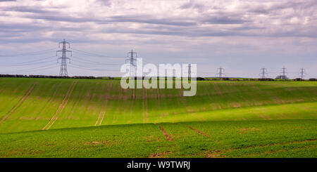 Pylone, die National Grid Stromleitungen stand über die Felder von Ernten auf therolling Hügel von England Dorset Downs. Stockfoto