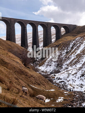 Schafe grasen auf der Weide in Arten Gill unter dem Viadukt der Linie Settle-Carlisle Railway. Stockfoto